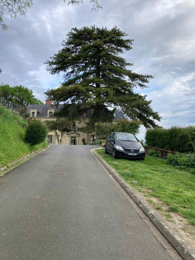 Chateau De La Boussiniere Gennes-Val-de-Loire Exteriör bild